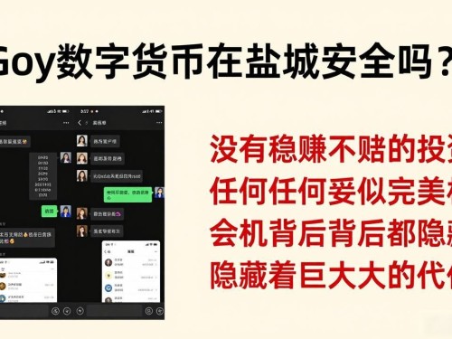 Goy数字货币在盐城安全吗？