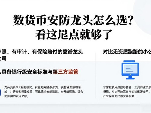 数字货币安防龙头怎么选？看这几点就够了