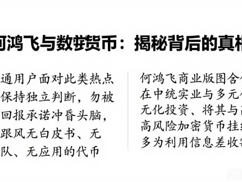 何鸿飞与数字货币：揭秘背后的真相