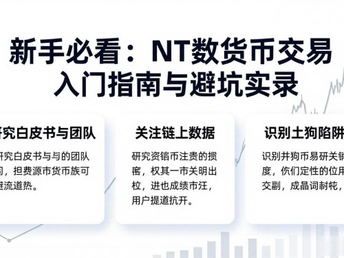 新手必看：NT数字货币交易入门指南与避坑实录