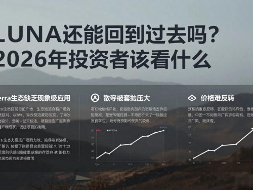 LUNA还能回到过去吗？2026年投资者该看什么