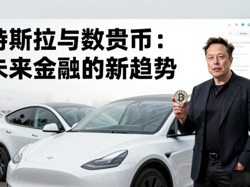 特斯拉与数字货币：未来金融的新趋势
