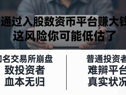 想通过入股数字货币平台赚大钱？这风险你可能低估了