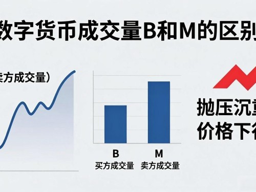 数字货币成交量B和M到底有啥区别？