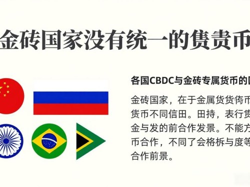 金砖国家没有统一的数字货币