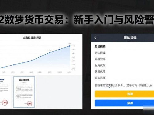 M2数字货币交易：新手入门与风险警示